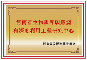 河南省生物质零碳燃烧工程研究中心