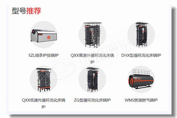 5吨/小时的固体燃料蒸汽锅炉